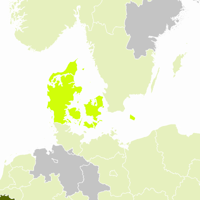 Export Image